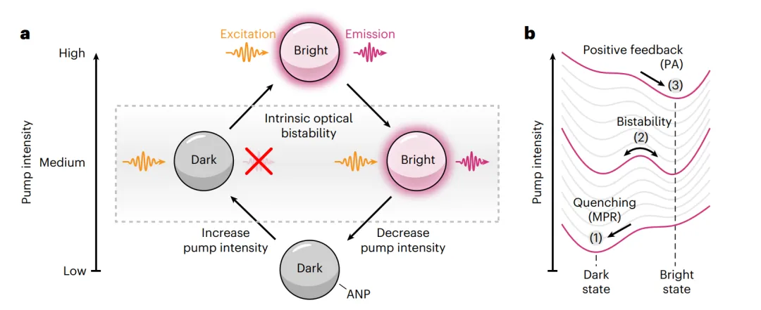 光子雪崩納米晶體的本征光學(xué)雙穩(wěn)性