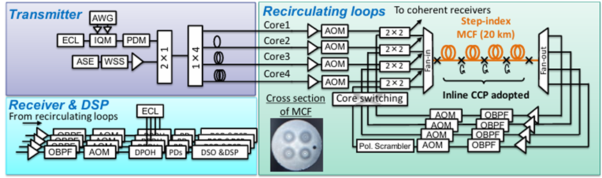 2×2聲光光開關(guān) 多芯光纖循環(huán)芯置換 芯間串擾抑制 3000 公里傳輸實驗