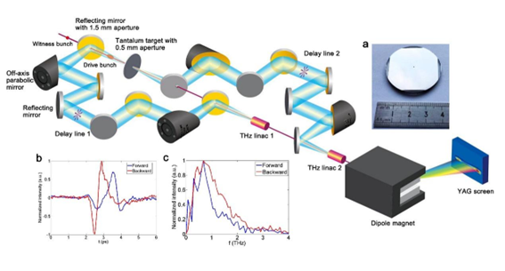 太赫茲光開(kāi)關(guān)非侵入式醫(yī)療檢測(cè)示意圖 太赫茲光開(kāi)關(guān)非侵入式醫(yī)療檢測(cè)示意圖