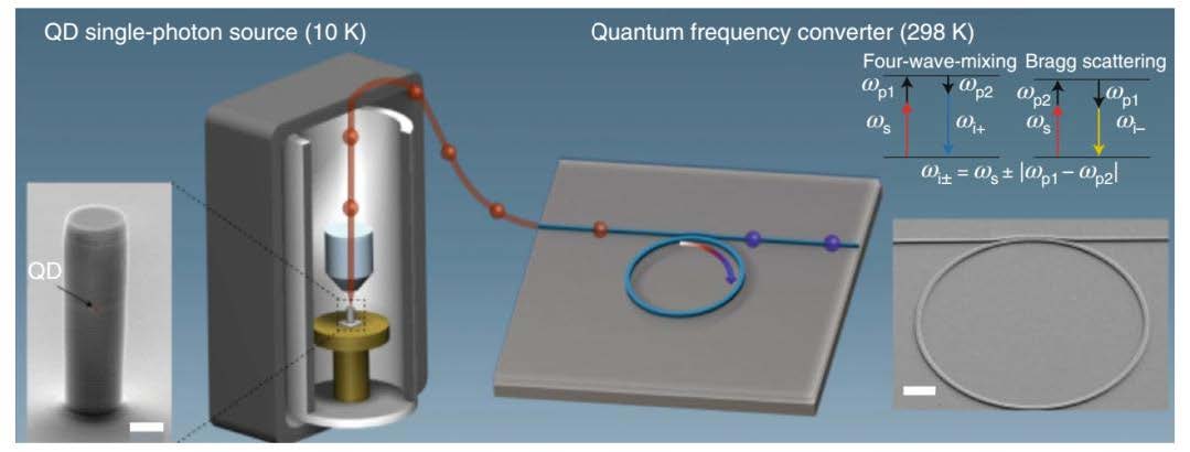 科毅寬溫光開關在東數(shù)西算工程光路調度示意圖