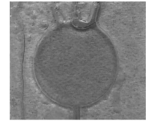 微流控光開關(guān)在實(shí)際應(yīng)用中的效果，包括不同流速下的遮光形態(tài)及透光/遮光對(duì)比  - 廣西科毅光通信